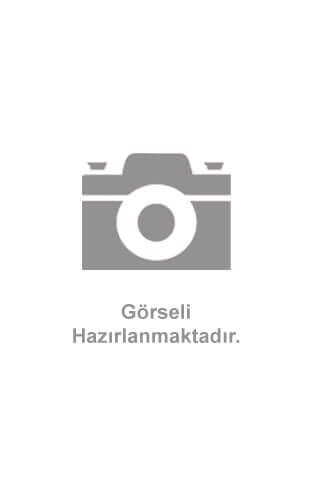 Vahşi (2025) izle